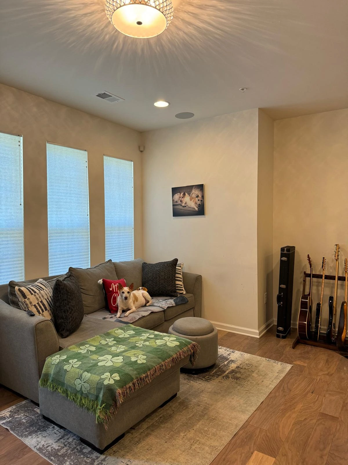 Home cleaning for pet households
